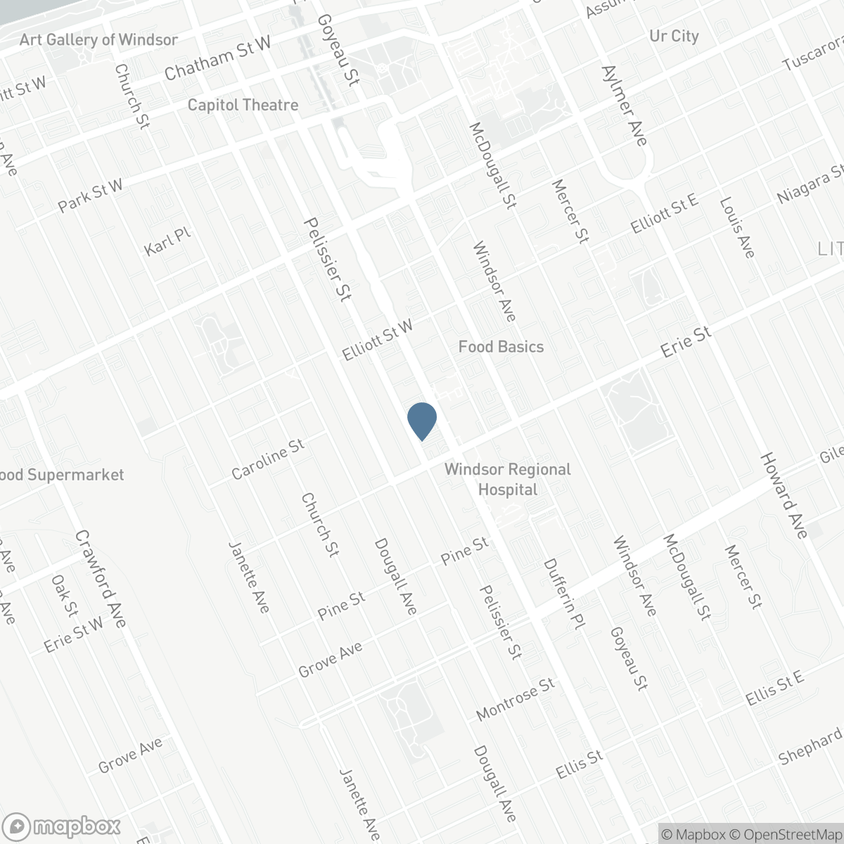 955 OUELLETTE AVENUE Unit# 405, Windsor, Ontario N9A 4J5